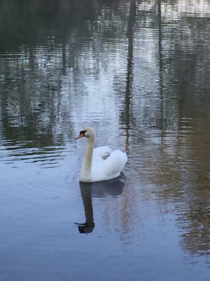 Lahnblick *
